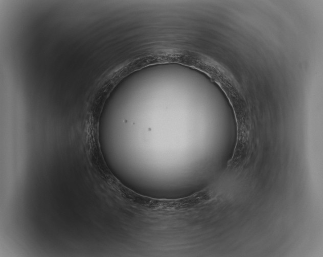 X0000102770773200808181128