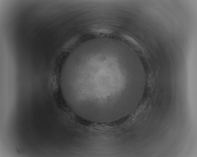 X0000102770774200808181128