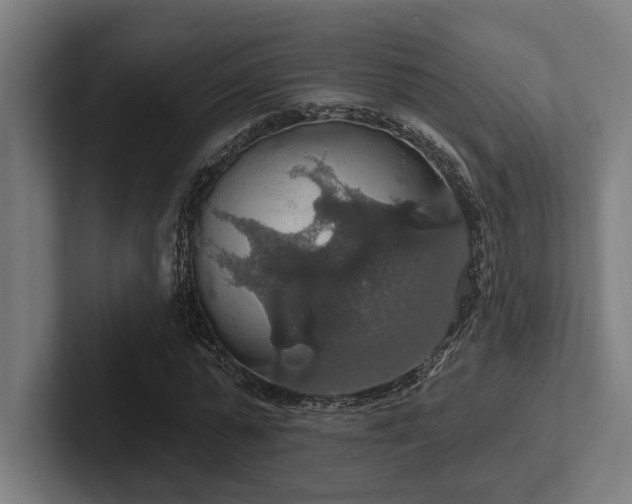 X0000102770775200808181128