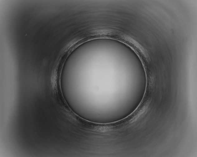 X0000102770778200808181128