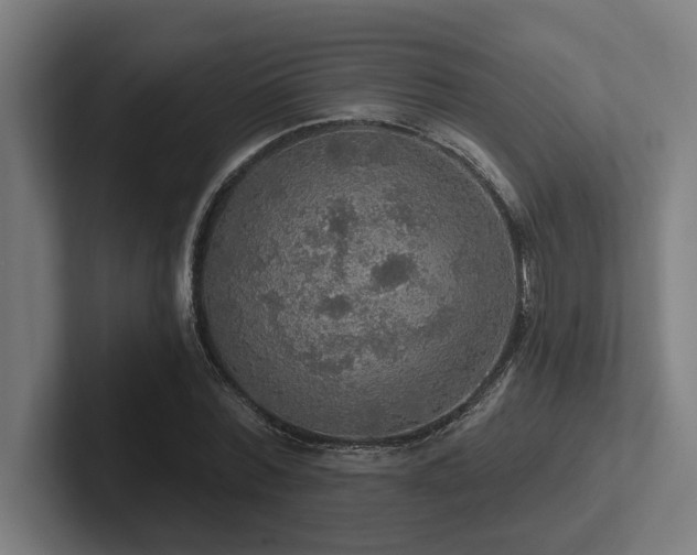 X0000102770780200808181128