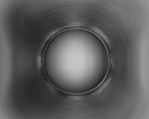 X0000102770781200808181128