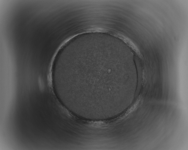 X0000102770784200808181128