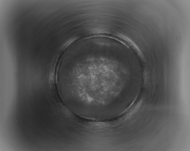 X0000102770785200808181128