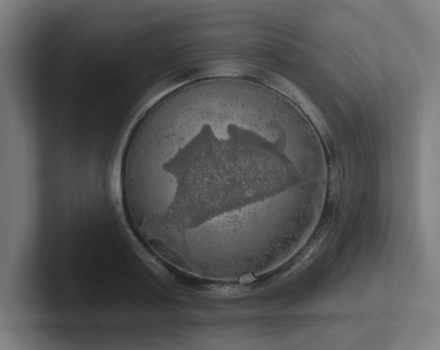 X0000102770795200808181128