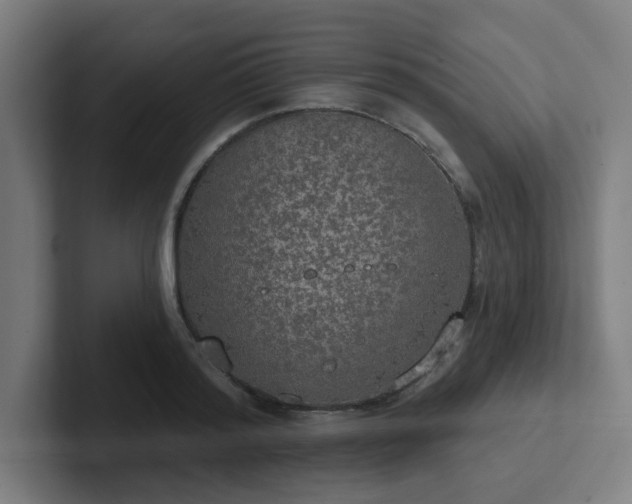 X0000102770796200808181128