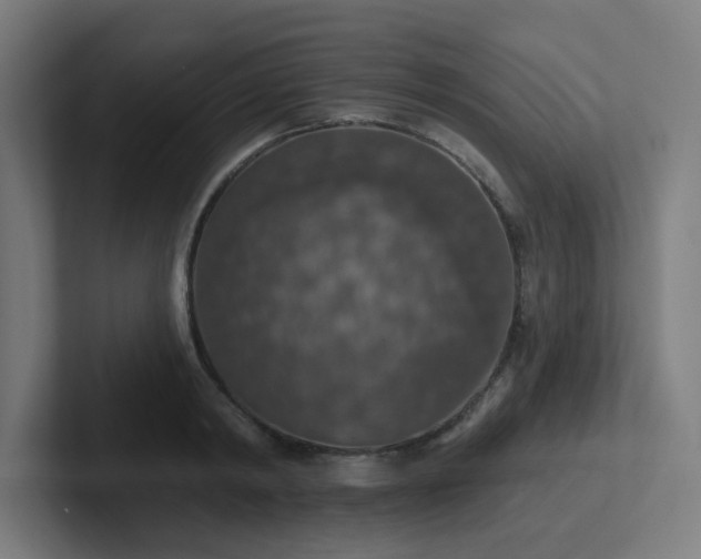 X0000102770798200808181128