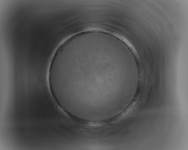 X0000102770799200808181128