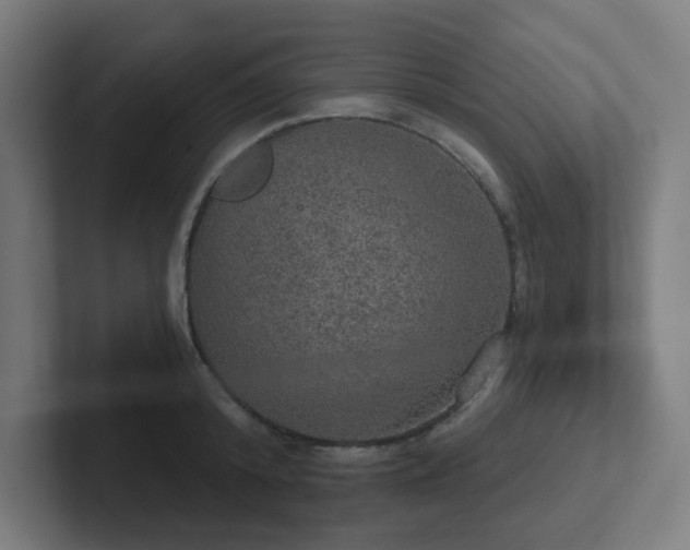 X0000102770800200808181128