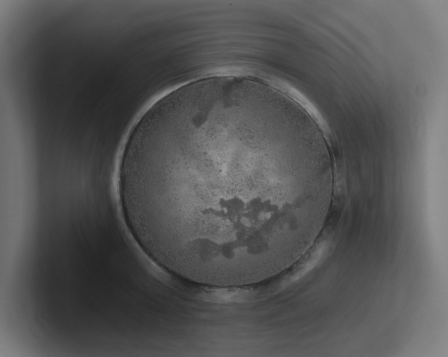 X0000102770803200808181128