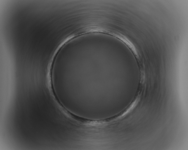 X0000102770806200808181128