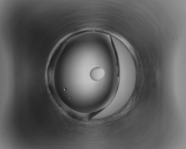 X0000102770807200808181128