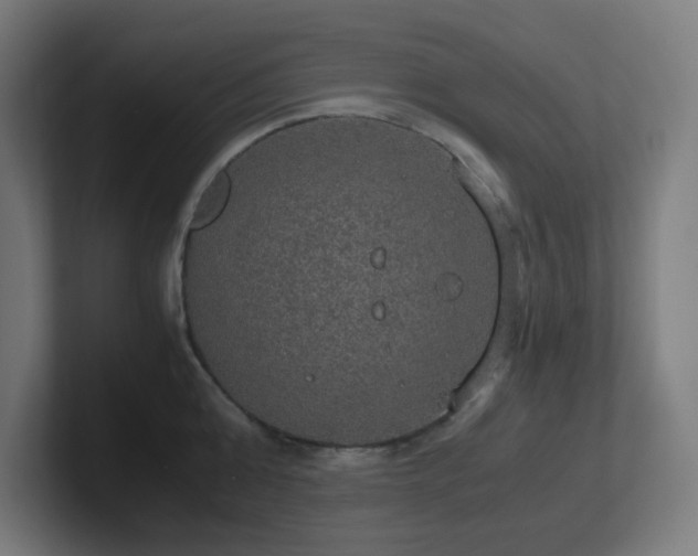 X0000102770808200808181128