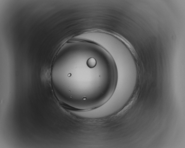 X0000102770809200808181128