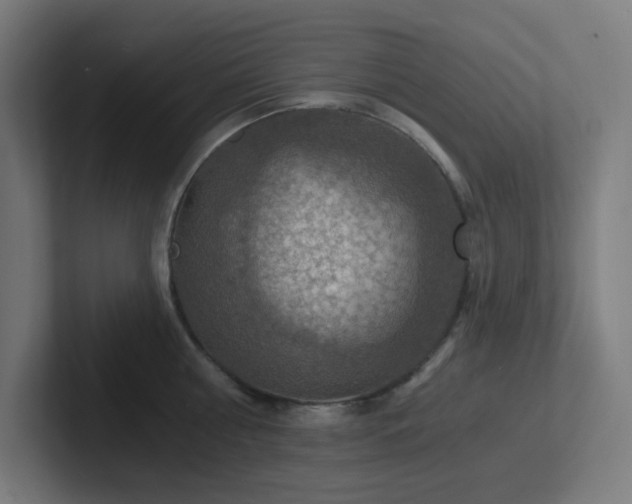 X0000102770810200808181128