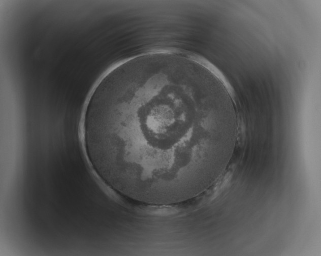 X0000102770811200808181128