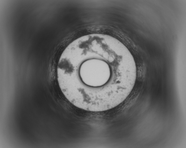 X0000102770820200808181127