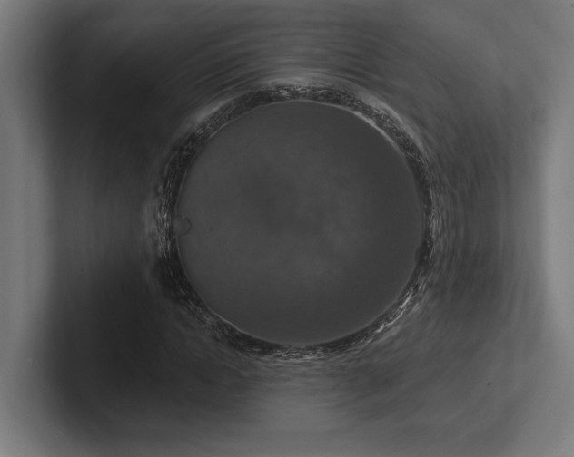 X0000102770822200808181127