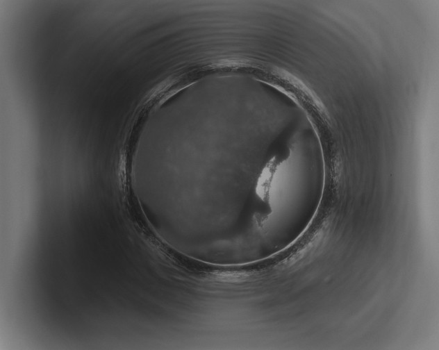 X0000102770825200808181127