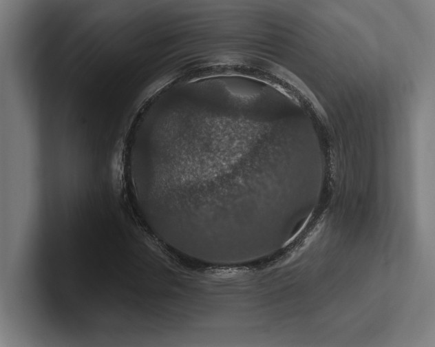 X0000102770826200808181127