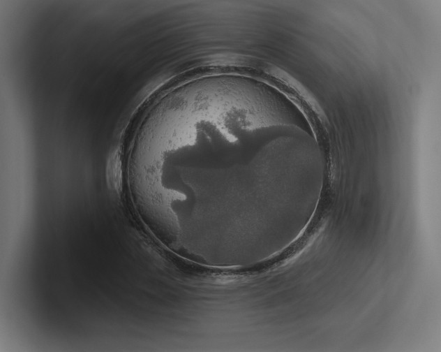 X0000102770829200808181127