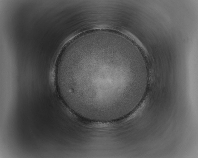 X0000102770831200808181127