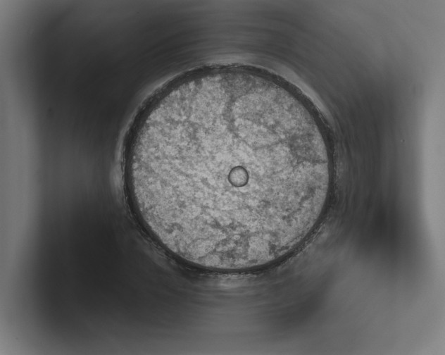 X0000102770832200808181127