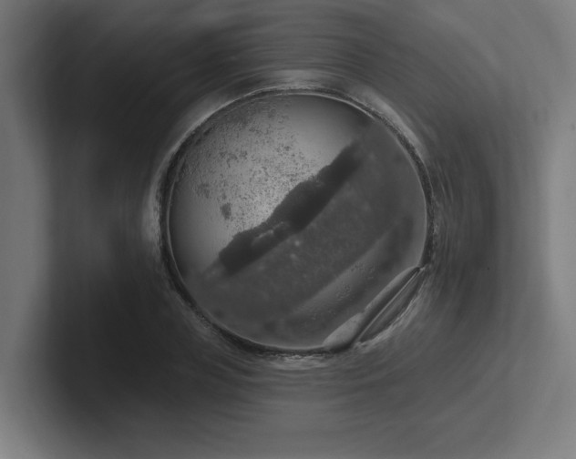 X0000102770835200808181127