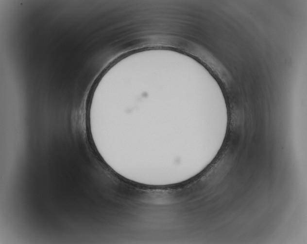 X0000102770836200808181127