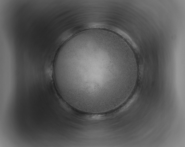 X0000102770841200808181127