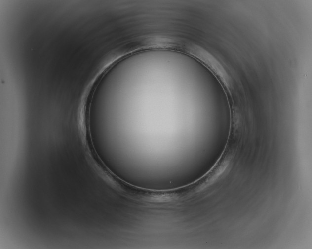 X0000102770843200808181128