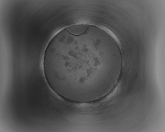 X0000102770847200808181128