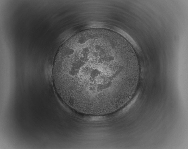 X0000102770849200808181128