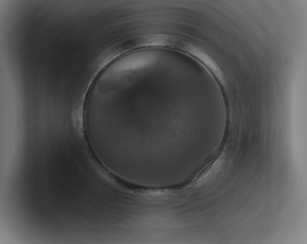 X0000102770850200808181128