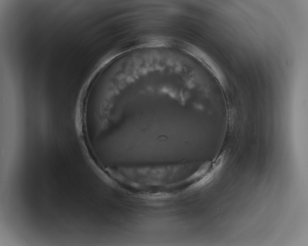 X0000102770851200808181128