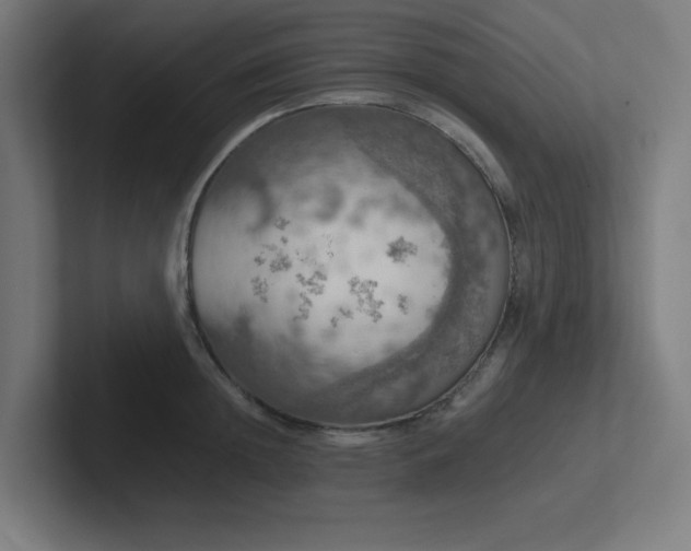 X0000102770852200808181128