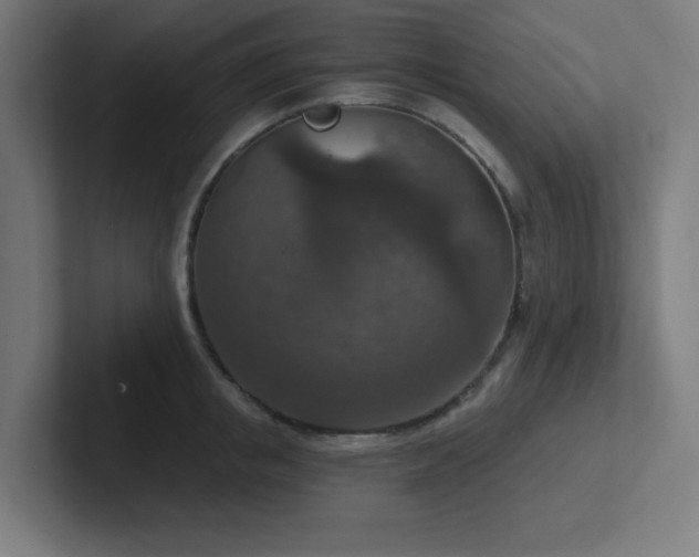 X0000102770853200808181128