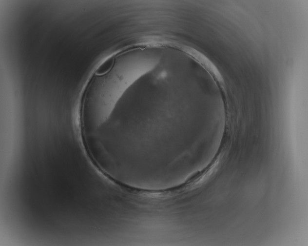 X0000102770855200808181128