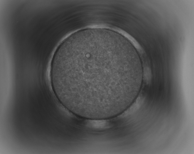 X0000102770856200808181128