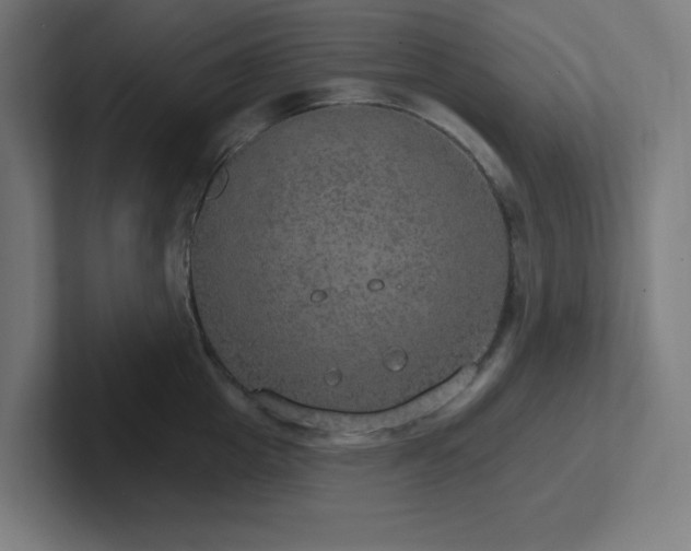 X0000102770857200808181128