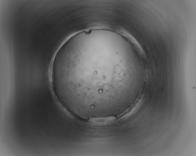 X0000102770860200808181128