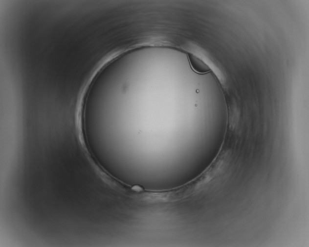 X0000102770861200808181128