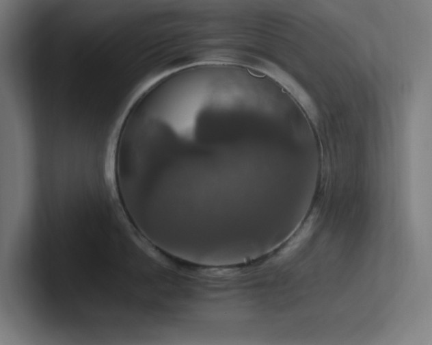 X0000102770862200808181128