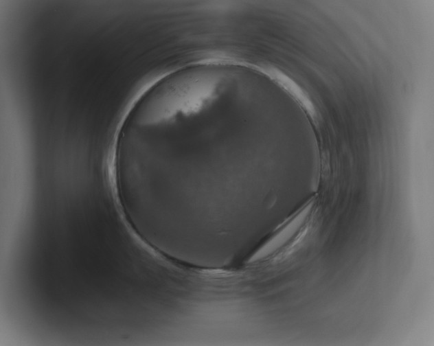 X0000102770863200808181128