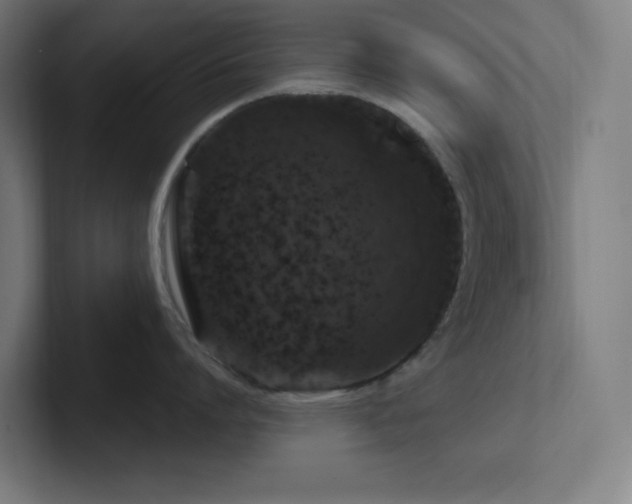 X0000102770864200808181128