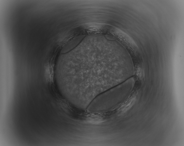 X0000102770868200808181127