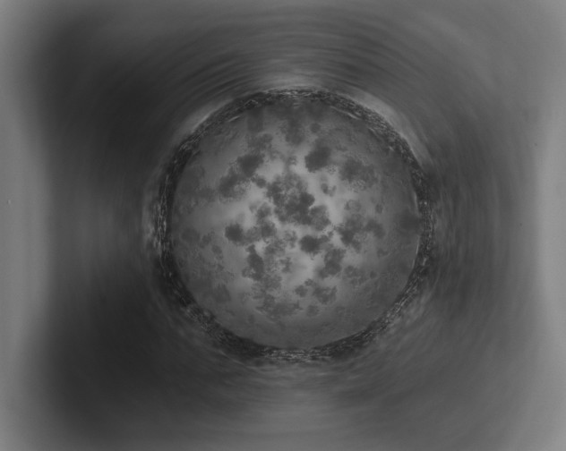 X0000102770871200808181127