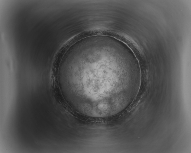 X0000102770872200808181127