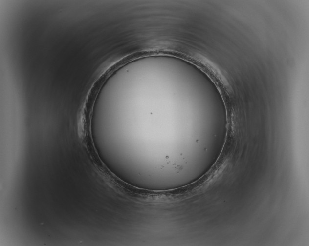 X0000102770876200808181127