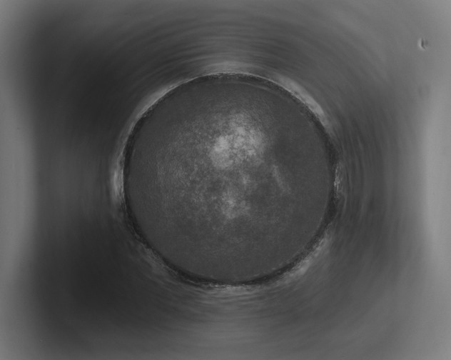 X0000102770877200808181127